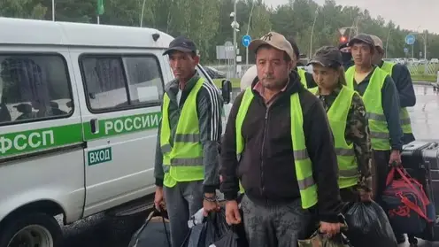 В Красноярском крае выдворили первых нелегалов после рейда в теплицах