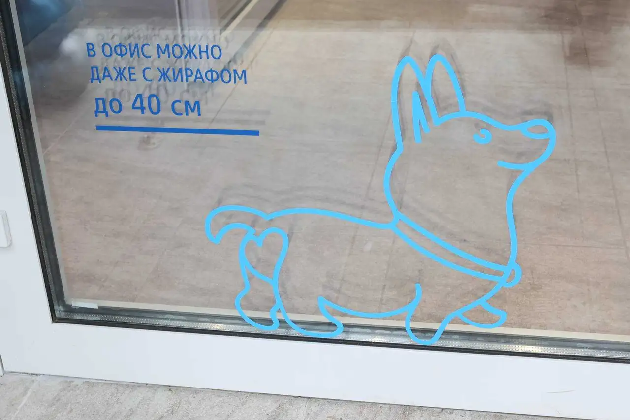 Фото: Михаил Шуклин