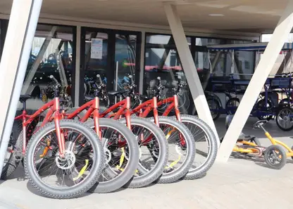 Прокат велосипедов и роликов открылся в Красноярске на Татышеве