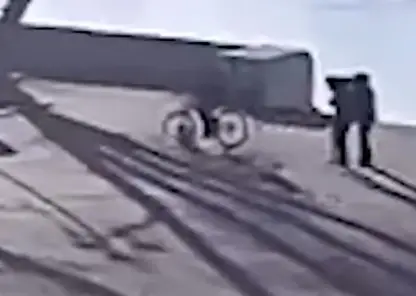 В Иркутске велосипедист намеренно переехал щенка корги, который был на поводке