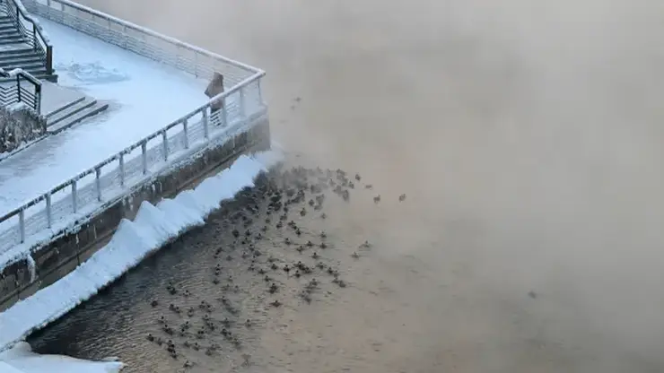 21 житель Красноярского края умер от обморожения с октября