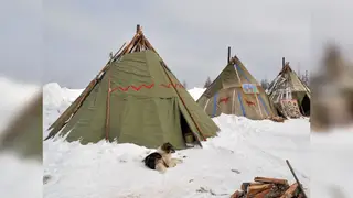 В Красноярском крае северяне смогут обучиться редкой профессии в 2026 году