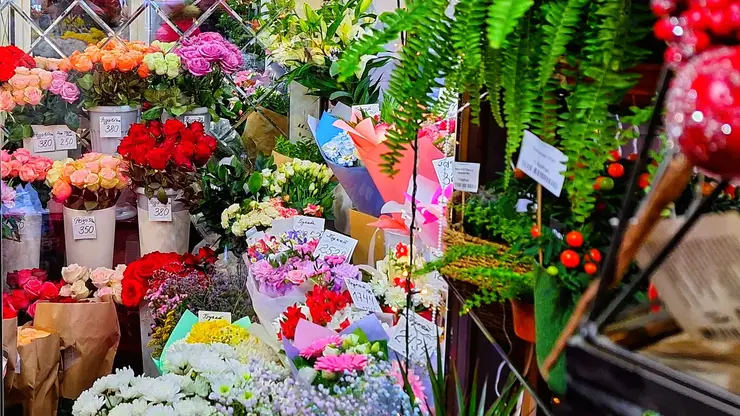 Новосибирские педагоги рассказали о самых неожиданных подарках на День учителя