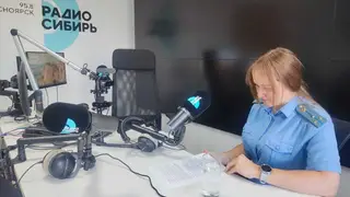 Cудебные приставы рассказали красноярцам, как защититься от коллекторов Cудебные приставы рассказали красноярцам, как защититься от коллекторов