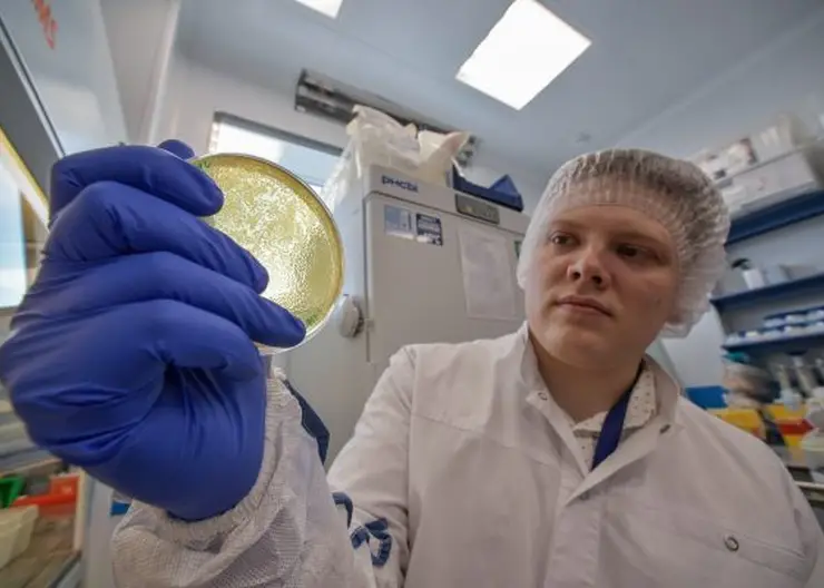 Новую вспышку COVID-19 в Красноярском крае ожидают в середине августа