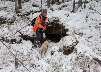 Разгадка гудков. У пропавшего в красноярской тайге Усольцева было два телефона