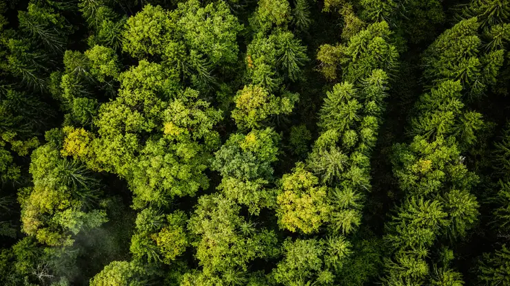 Красноярский край выделит 10 млрд рублей на улучшение экологии