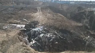 Незаконную свалку выявили экологи в Красноярске