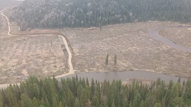 Реки юга Красноярского края страдают от деятельности золотодобытчиков: ущерб исчисляется десятками миллионов