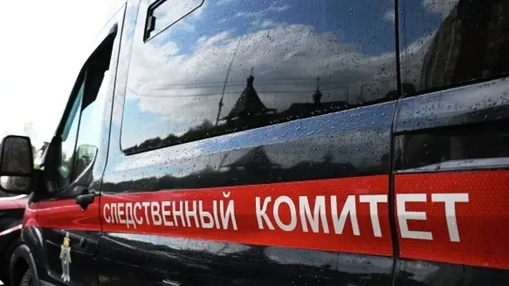 17-летнюю жительницу Барнаула подозревают в убийстве своего новорожденного ребёнка