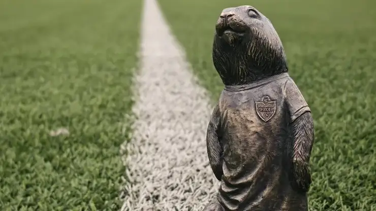 В Красноярске с набережной пропал суслик-футболист