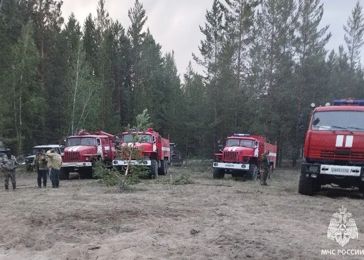 В Алтайском крае разгорелся лесной пожар на площади 720 га