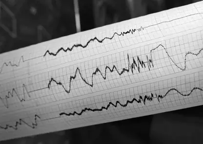 Землетрясение магнитудой 5,0 произошло у побережья Камчатки