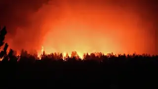 Почти 60 лесных возгораний зафиксировано в десяти районах Томской области Почти 60 лесных возгораний зафиксировано в десяти районах Томской области