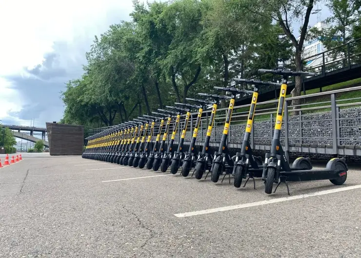 Красноярцы предложили ввести «права» на электросамокаты и разделение потоков движения