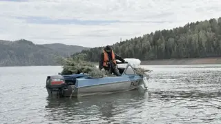 Эн+ установила искусственные нерестилища на Красноярском водохранилище