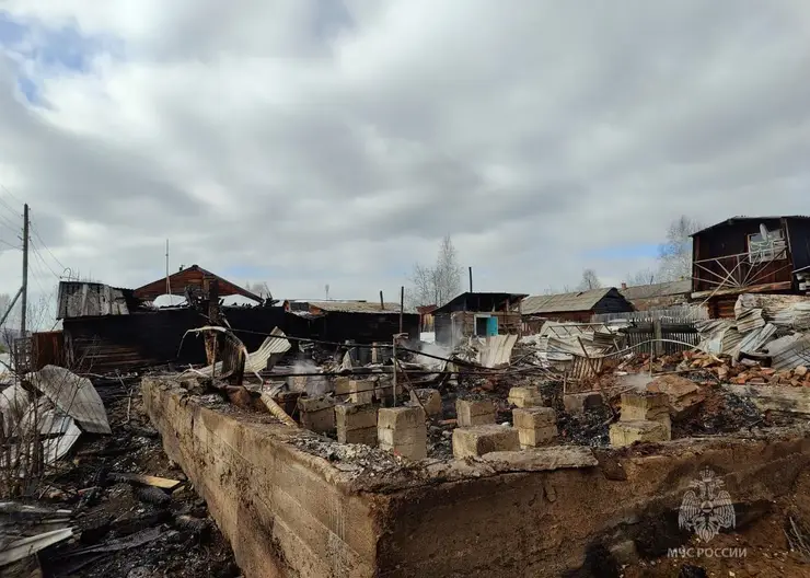 В крае пенсионерка вернулась в горящий дом за документами и погибла