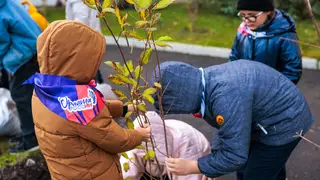 Сорок саженцев сирени украсили территорию школы в мкр. Солнечный