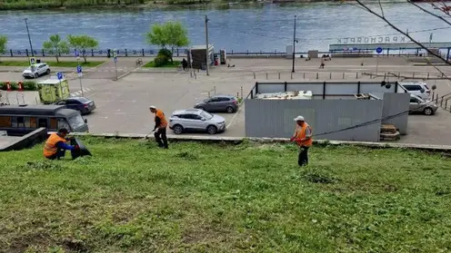 В Красноярске приводят в порядок городские газоны
