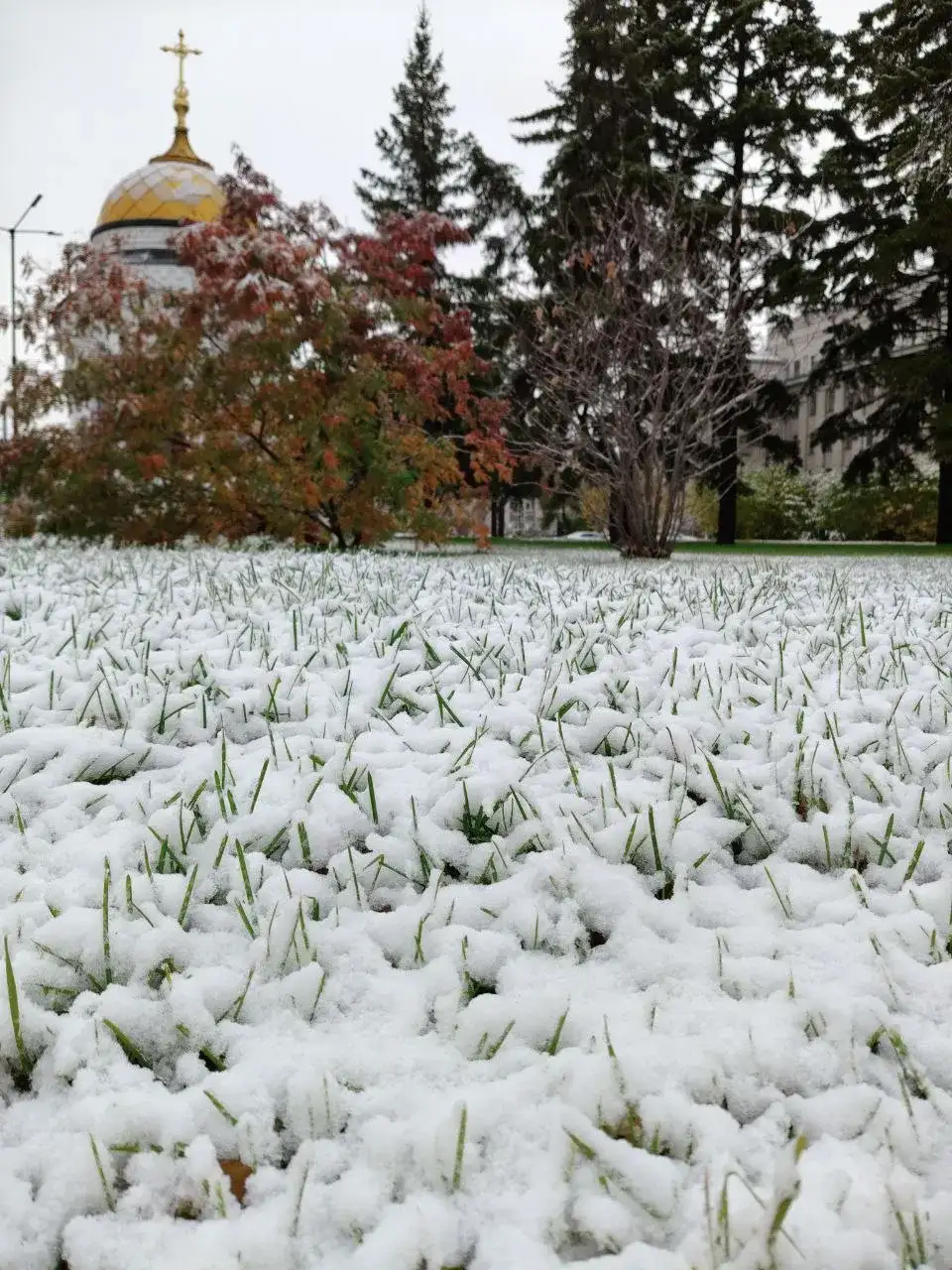 Фото: #кобзевнасвязи / Telegram