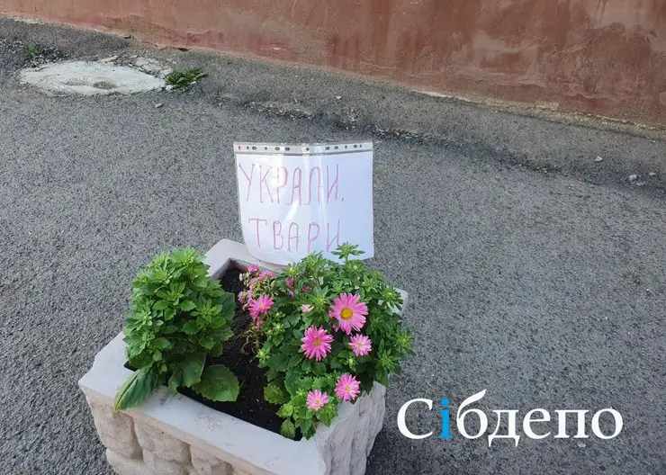 В Кемерове разгорелся «цветочный» скандал: неизвестные оборвали лепестки с клумбы