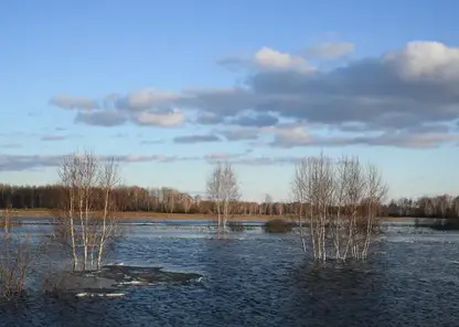 Вторая волна паводка начнется в Алтайском крае в конце мая – начале июня