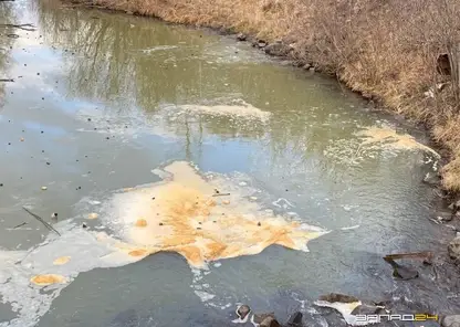 В Назарове местные обеспокоены появлением рыжей пены на поверхности реки Ададым в Берёзовой роще