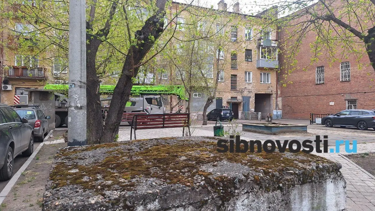 Фото: sibnovosti.ru 