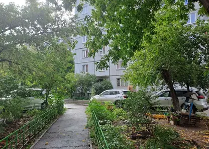 В Красноярском крае житель привлечён к административной ответственности