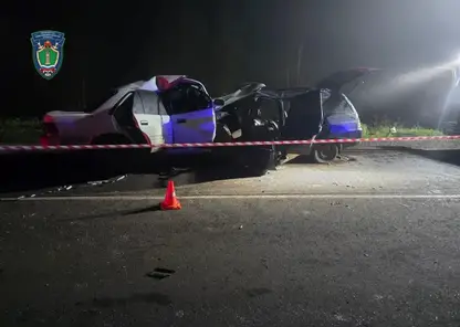 Ребёнок и трое взрослых погибли в аварии ночью на автодороге в Кузбассе