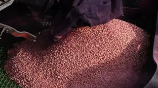 ИИ помог обнаружить нарушение при выдаче ветеринарного документа на крупную партию зерна в Хакасии