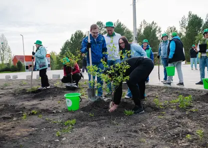 Дивногорск расцветает: волонтёры Эн+ озеленили смотровую площадку красноярской ГЭС