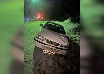 Легковушка сбила двух детей в Богучанах