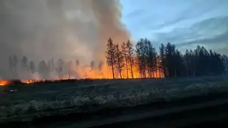 Режим ЧС ввели в Туве из-за лесных пожаров