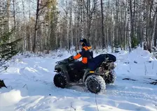 Красноярские спасатели снова вышли на поиски пропавшей семьей Усольцевых и обследовали 10 км леса. Какой результат?