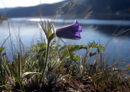 Потепление на 10 градусов ожидается в Сибири