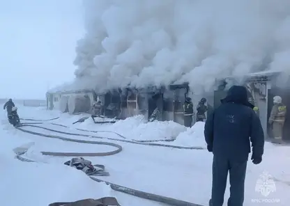 За неделю в Красноярском крае потушили 138 пожаров