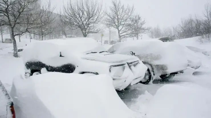 Режим свободного посещения ввели в школах Камчатки на ближайшие два для из-за сильнейшего снегопада