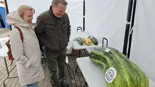 В Красноярске выбрали самый тяжелый кабачок и самую объемную тыкву