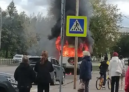 Маршрутка загорелась в Зеленогорске (видео)