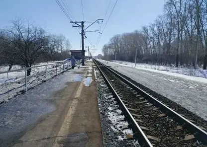 В Новосибирской области два человека попали под поезд за один день: женщина погибла, мужчина травмирован