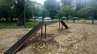 Четыре обустроенные площадки для выгула собак появятся в 2026 году в Советском районе Красноярска