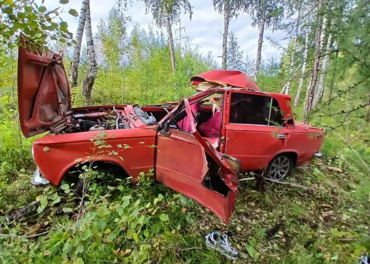 19-летний водитель сбил лошадь в Шарыповском районе. Человек и животное погибли