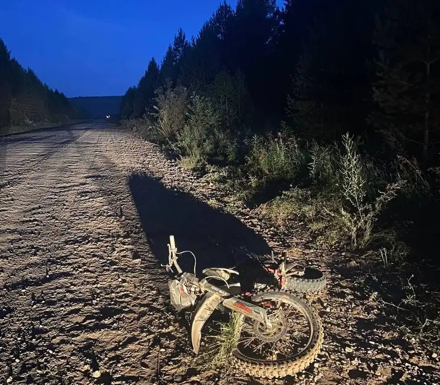 Фото: t.me/gibdd124