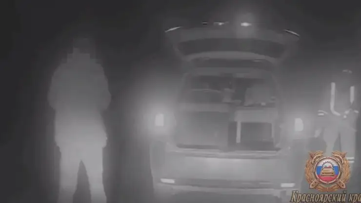 Пакет марихуаны и две утки: веселого водителя остановили на трассе Красноярского края