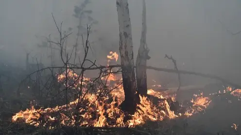 За выходные в Красноярском крае потушили 22 лесных пожара