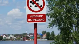 Красноярец на минувших выходных утонул на острове Татышев в Красноярске