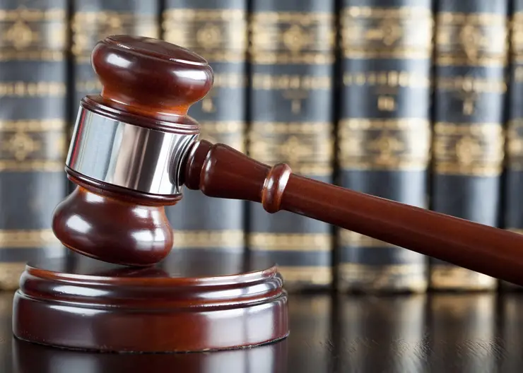 Директор и воспитатель новосибирского частного детсада получили сроки за истязание детей