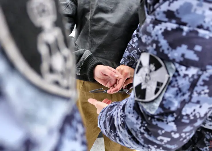 Росгвардейцы задержали мужчину, бросавшегося на соседей с ножом, в Красноярском крае