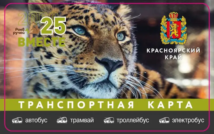 Фото: парк «Роев ручей» Красноярск